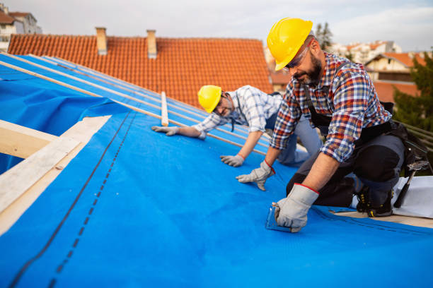 Best New Roof Installation  in Springville, UT